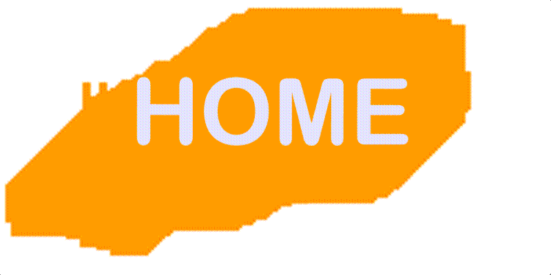 orange_home.gif (12413 bytes)
